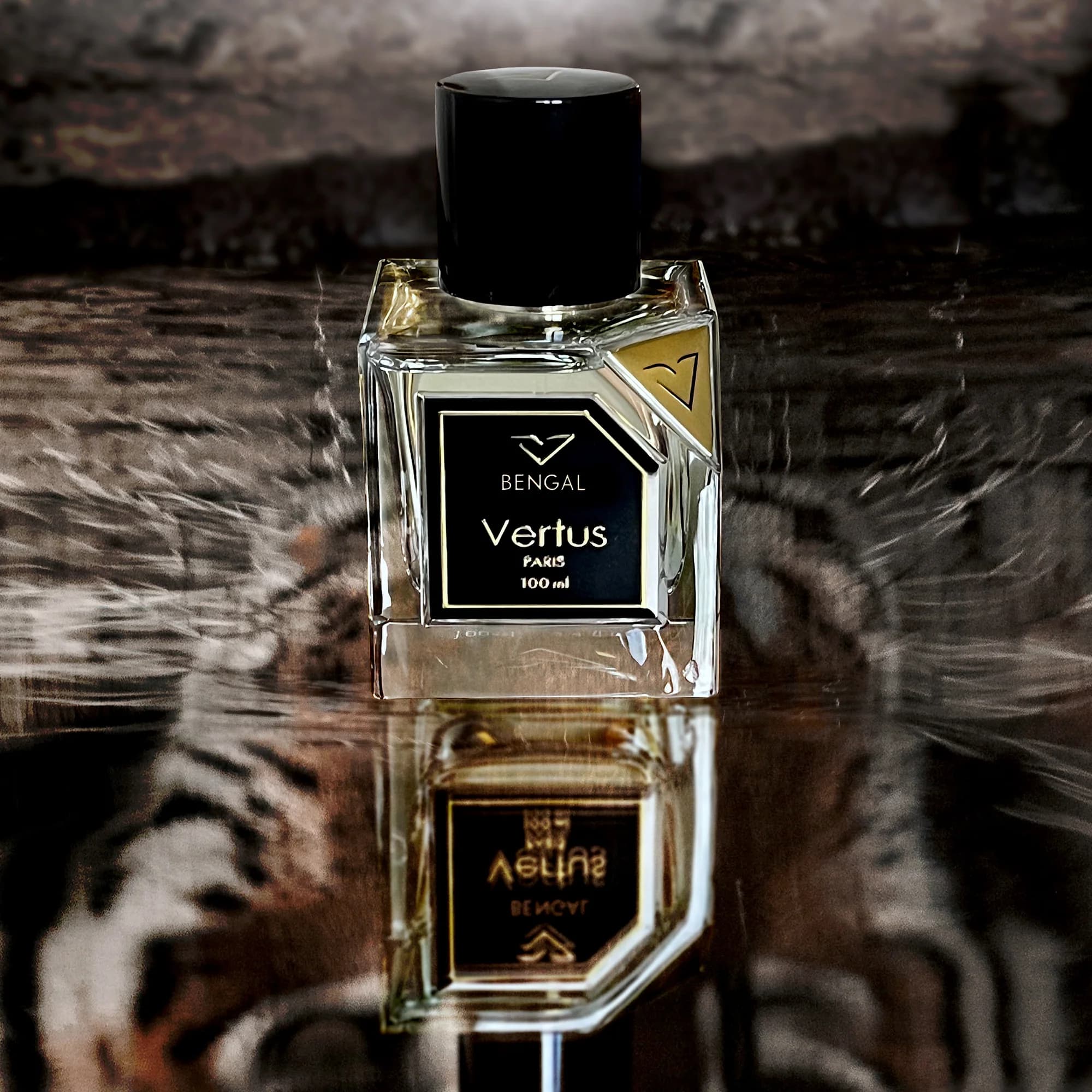 https://images.vertus.online/vertus/3-01JNE12HMCH29AHBPDCPDVASPJ.webp